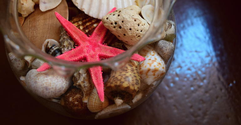a jar with seashells and starfish
