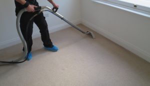 hot water extraction carpet cleaning