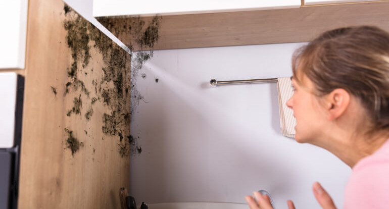 How To Get Rid Of Damp Smell Fantastic Cleaners Blog