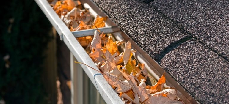 How much does gutter cleaning cost?
