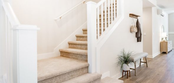 Stairs covered with carpeting