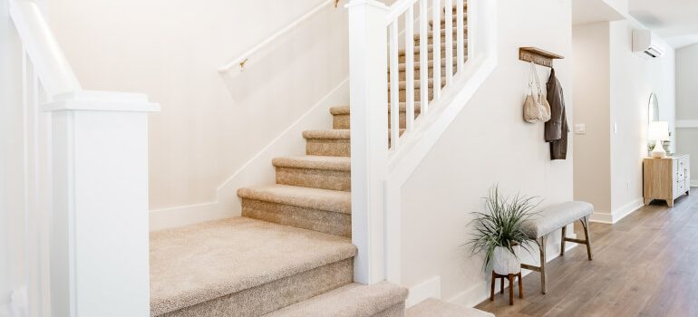 Stairs covered with carpeting