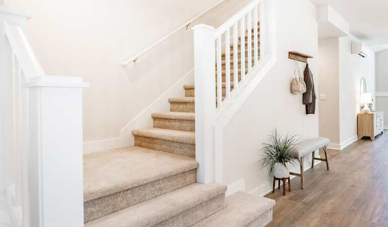 Stairs covered with carpeting