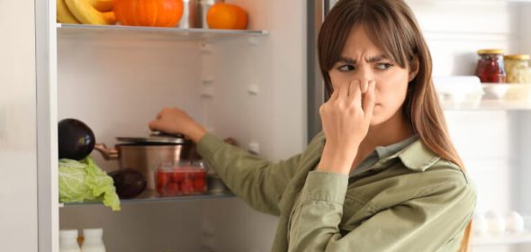 Young woman feeling bad smell from open fridge in kitchen