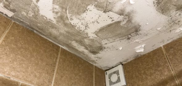 Image of mould on bathroom ceiling