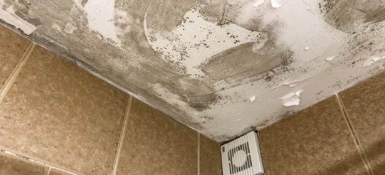 Image of mould on bathroom ceiling