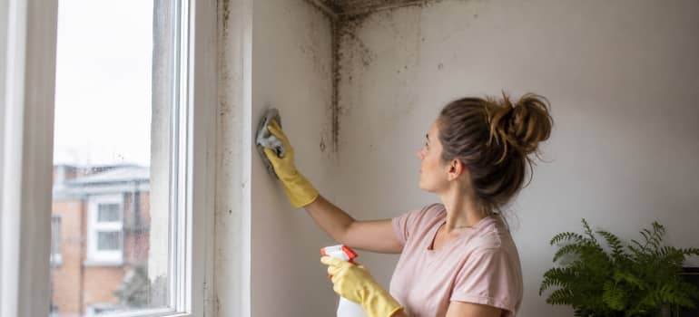 Illustration representing how to prevent mould